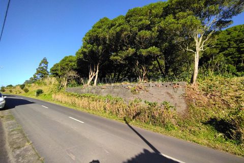 Terra a Horta, Faial, Horta - € 43.000 | Ref: 374250079 - foto 3