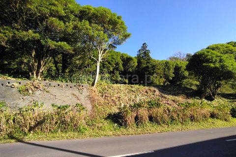 Terra a Horta, Faial, Horta - € 43.000 | Ref: 374250079 - foto 5