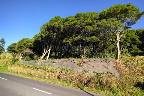 Terra a Horta, Faial, Horta - € 43.000 | Ref: 374250079 - foto 6