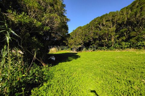 Terra a Horta, Faial, Horta - € 43.000 | Ref: 374250079 - foto 7