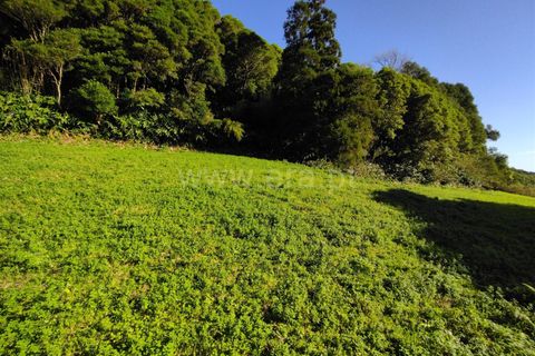 Terra a Horta, Faial, Horta - € 43.000 | Ref: 374250079 - foto 8