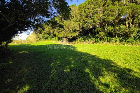 Terra a Horta, Faial, Horta - € 43.000 | Ref: 374250079 - foto 9