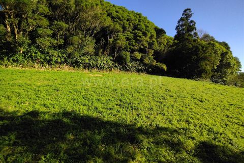 Terra a Horta, Faial, Horta - € 43.000 | Ref: 374250079 - foto 10