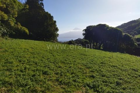 Terra a Horta, Faial, Horta - € 43.000 | Ref: 374250079 - foto 12