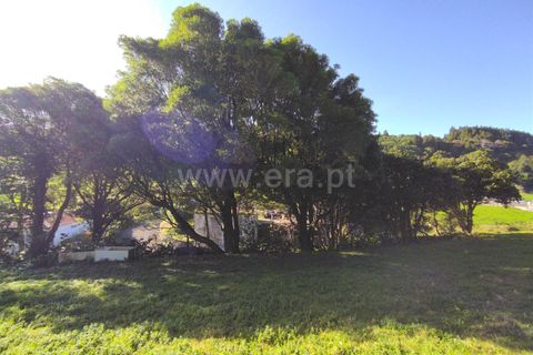 Terra a Horta, Faial, Horta - € 43.000 | Ref: 374250079 - foto 14