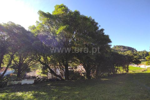 Terra a Horta, Faial, Horta - € 43.000 | Ref: 374250079 - foto 15