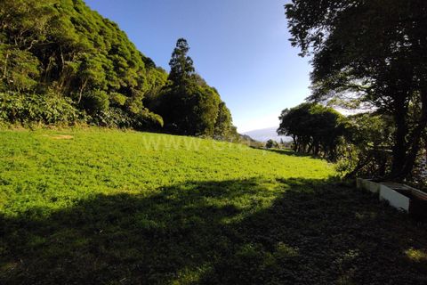 Terra a Horta, Faial, Horta - € 43.000 | Ref: 374250079 - foto 17