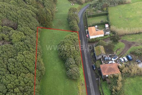 Terra a Horta, Faial, Horta - € 43.000 | Ref: 374250079 - foto 18