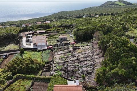 Helårsgrund i Lajes do Pico, Pico, Lajes do Pico - € 48.000 | Ref: 374250221 - foto 5