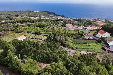 Helårsgrund i Lajes do Pico, Pico, Lajes do Pico - € 48.000 | Ref: 374250221 - foto 6