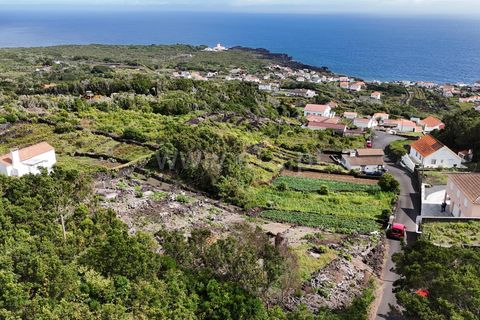 Helårsgrund i Lajes do Pico, Pico, Lajes do Pico - € 48.000 | Ref: 374250221 - foto 7