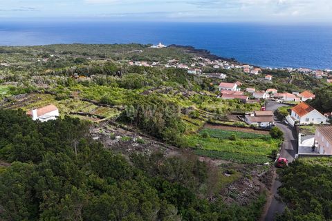 Helårsgrund i Lajes do Pico, Pico, Lajes do Pico - € 48.000 | Ref: 374250221 - foto 8