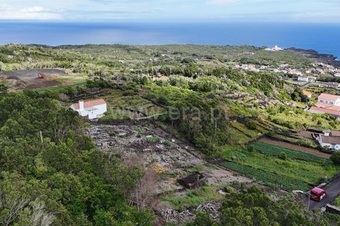 Helårsgrund i Lajes do Pico, Pico, Lajes do Pico - € 48.000 | Ref: 374250221 - foto 9