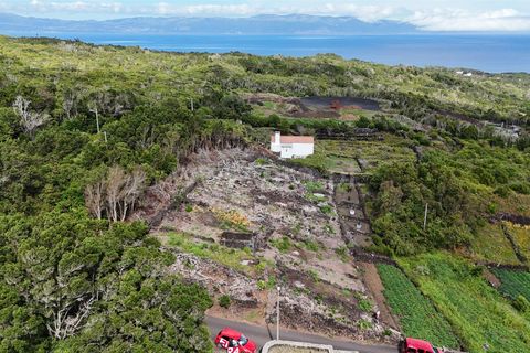 Helårsgrund i Lajes do Pico, Pico, Lajes do Pico - € 48.000 | Ref: 374250221 - foto 11