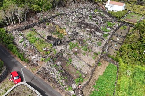 Helårsgrund i Lajes do Pico, Pico, Lajes do Pico - € 48.000 | Ref: 374250221 - foto 13