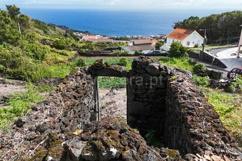 Helårsgrund i Lajes do Pico, Pico, Lajes do Pico - € 48.000 | Ref: 374250221 - foto 15