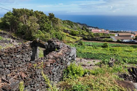 Helårsgrund i Lajes do Pico, Pico, Lajes do Pico - € 48.000 | Ref: 374250221 - foto 16