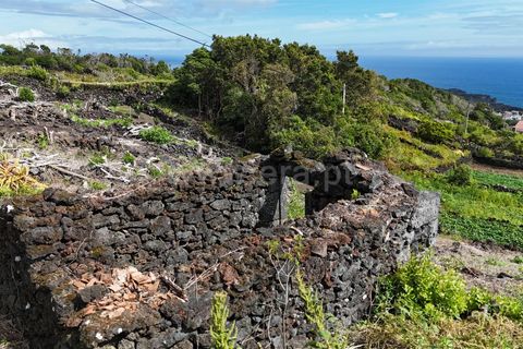 Helårsgrund i Lajes do Pico, Pico, Lajes do Pico - € 48.000 | Ref: 374250221 - foto 17