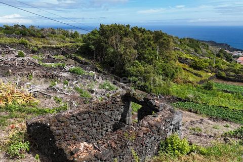 Helårsgrund i Lajes do Pico, Pico, Lajes do Pico - € 48.000 | Ref: 374250221 - foto 18