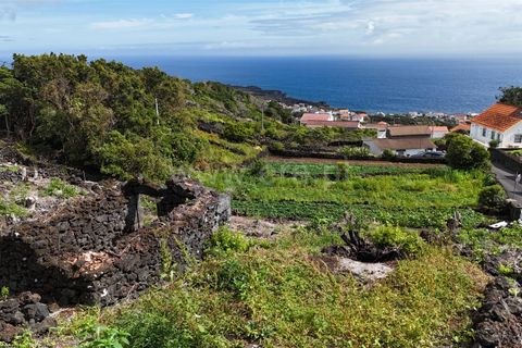 Helårsgrund i Lajes do Pico, Pico, Lajes do Pico - € 48.000 | Ref: 374250221 - foto 19