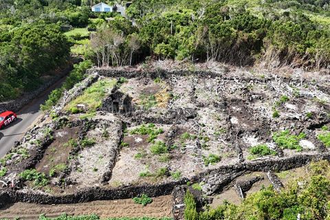 Helårsgrund i Lajes do Pico, Pico, Lajes do Pico - € 48.000 | Ref: 374250221 - foto 20