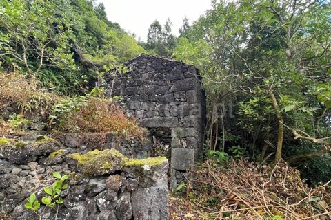 Helårsgrund i Lajes do Pico, Pico, Lajes do Pico - € 43.000 | Ref: 374250230 - foto 1