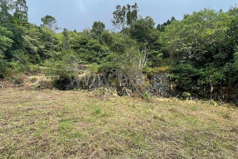 Helårsgrund i Lajes do Pico, Pico, Lajes do Pico - € 43.000 | Ref: 374250230 - foto 2
