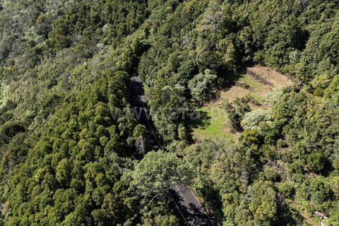 Helårsgrund i Lajes do Pico, Pico, Lajes do Pico - € 43.000 | Ref: 374250230 - foto 5