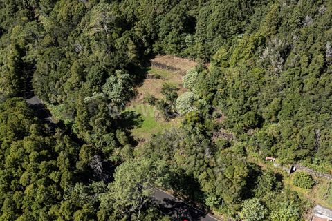 Helårsgrund i Lajes do Pico, Pico, Lajes do Pico - € 43.000 | Ref: 374250230 - foto 6