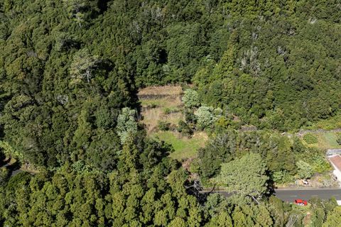 Helårsgrund i Lajes do Pico, Pico, Lajes do Pico - € 43.000 | Ref: 374250230 - foto 9
