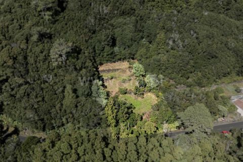 Helårsgrund i Lajes do Pico, Pico, Lajes do Pico - € 43.000 | Ref: 374250230 - foto 10