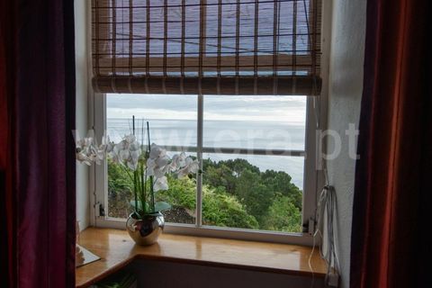 Villa i Lajes do Pico, Pico, Lajes do Pico - € 388.000 | Ref: 374250261 - foto 13