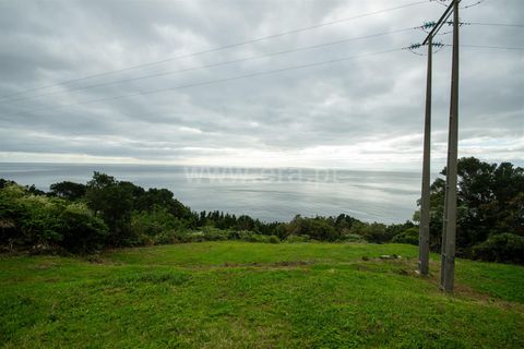 Villa i Lajes do Pico, Pico, Lajes do Pico - € 388.000 | Ref: 374250261 - foto 28