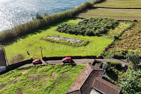 Helårsgrund i Lajes do Pico, Pico, Lajes do Pico - € 29.000 | Ref: 374250286 - foto 4