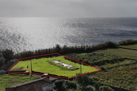 Helårsgrund i Lajes do Pico, Pico, Lajes do Pico - € 29.000 | Ref: 374250286 - foto 5