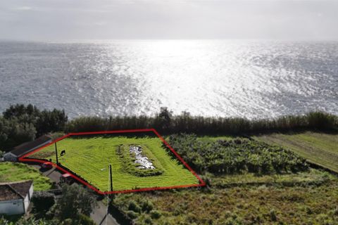 Helårsgrund i Lajes do Pico, Pico, Lajes do Pico - € 29.000 | Ref: 374250286 - foto 6