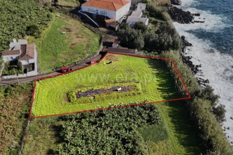 Helårsgrund i Lajes do Pico, Pico, Lajes do Pico - € 29.000 | Ref: 374250286 - foto 7