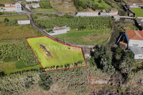 Helårsgrund i Lajes do Pico, Pico, Lajes do Pico - € 29.000 | Ref: 374250286 - foto 9