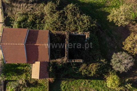Terra a Belmonte, Castelo Branco, Belmonte - € 72.500 | Ref: 111250215 - foto 3