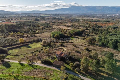 Terra a Belmonte, Castelo Branco, Belmonte - € 72.500 | Ref: 111250215 - foto 5