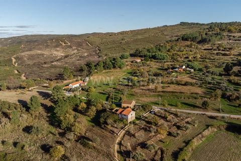 Terra a Belmonte, Castelo Branco, Belmonte - € 72.500 | Ref: 111250215 - foto 7