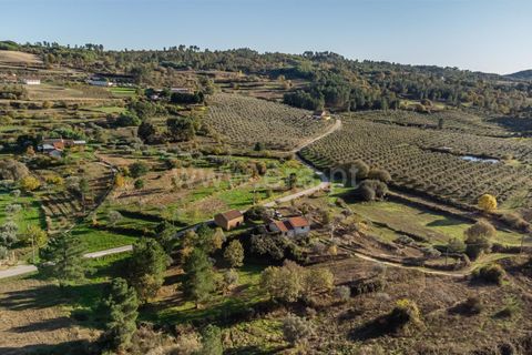 Terra a Belmonte, Castelo Branco, Belmonte - € 72.500 | Ref: 111250215 - foto 8