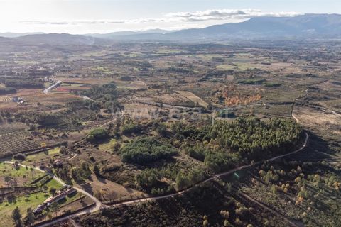 Terra a Belmonte, Castelo Branco, Belmonte - € 72.500 | Ref: 111250215 - foto 10