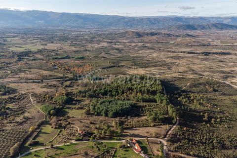 Terra a Belmonte, Castelo Branco, Belmonte - € 72.500 | Ref: 111250215 - foto 11