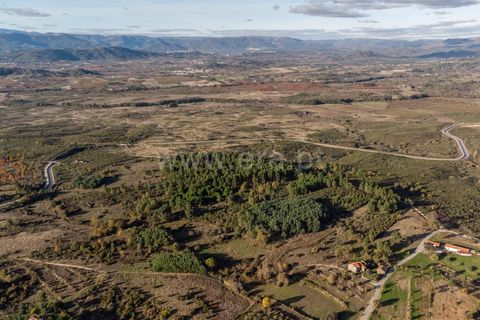 Terra a Belmonte, Castelo Branco, Belmonte - € 72.500 | Ref: 111250215 - foto 12