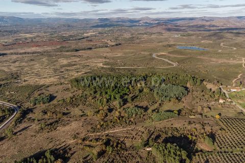 Terra a Belmonte, Castelo Branco, Belmonte - € 72.500 | Ref: 111250215 - foto 13