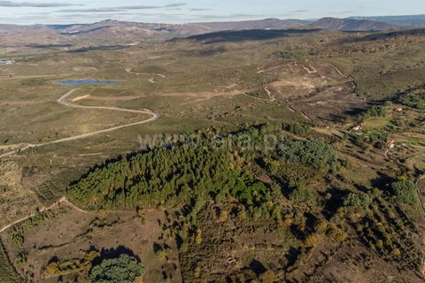 Terra a Belmonte, Castelo Branco, Belmonte - € 72.500 | Ref: 111250215 - foto 15