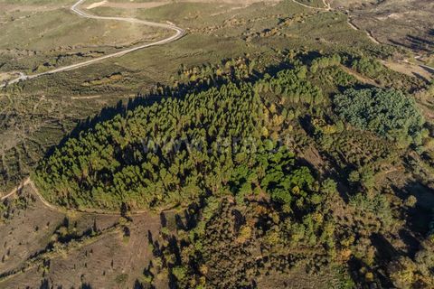 Terra a Belmonte, Castelo Branco, Belmonte - € 72.500 | Ref: 111250215 - foto 16