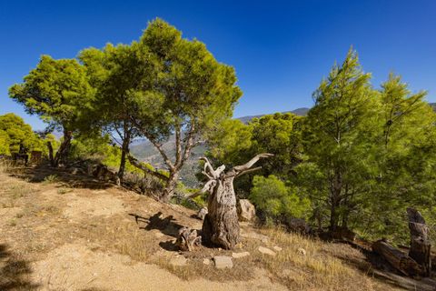 Villa a Velez De Benaudalla, Granada, Velez De Benaudalla - € 995.000 | Ref: R5222332 - foto 33