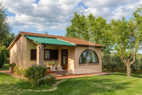 Farm hus i Scansano, Grosseto, Scansano - € 630.000 | Ref: a1190rc28342 - foto 5